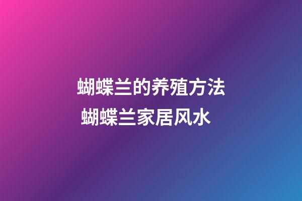 蝴蝶兰的养殖方法 蝴蝶兰家居风水